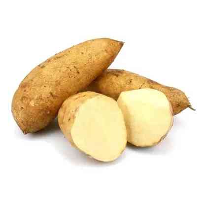 Sweet Potato White